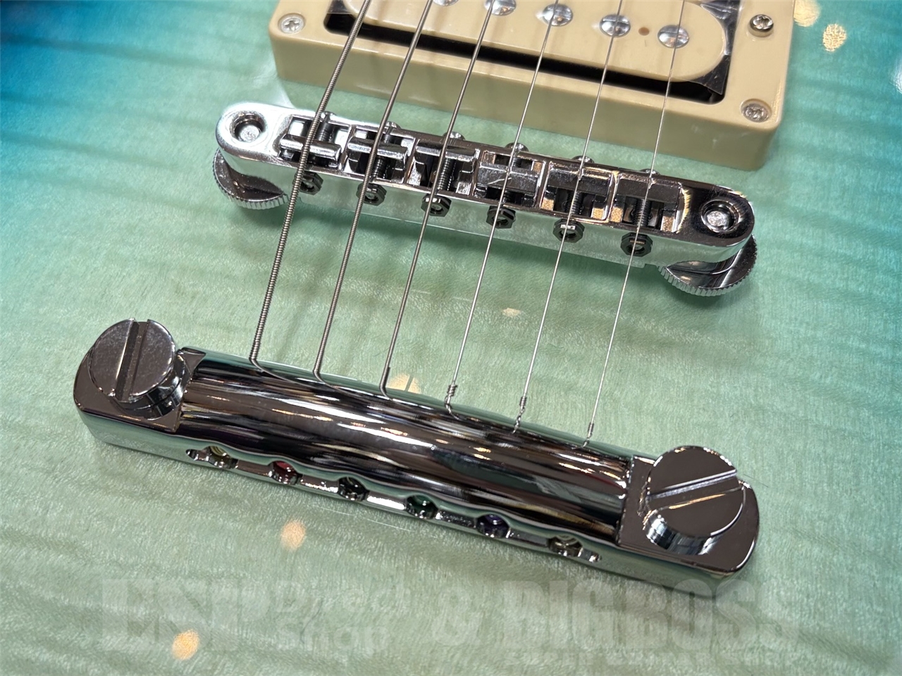 【即納可能】Greco GM-CST/FM Beach Emerald　GWS - 7