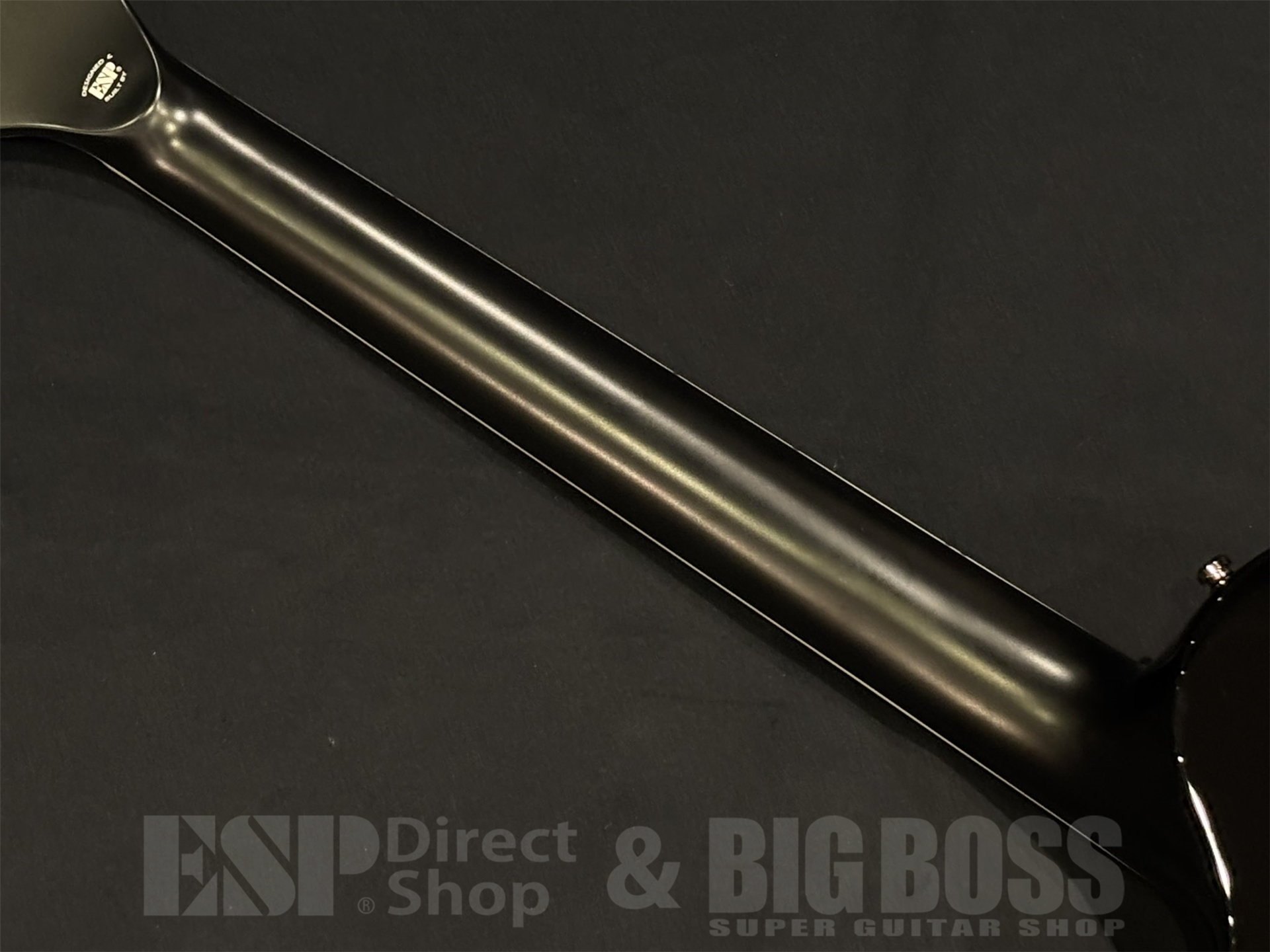 【即納可能】E-II(イーツー) EC FM FT EMG / Black Natural Burst 京都店