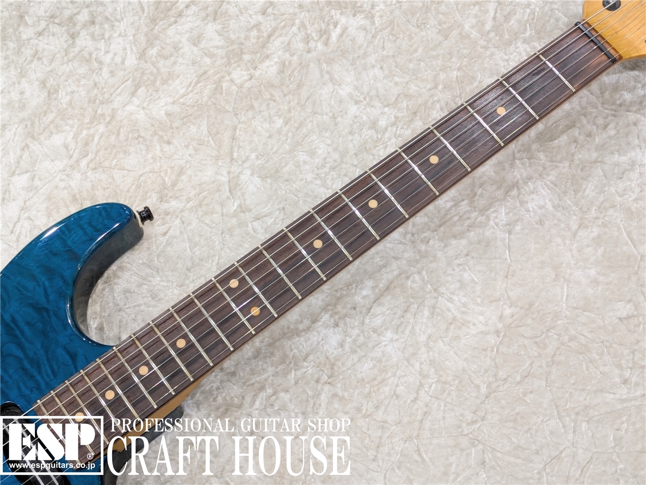 【USED / 即納可能】Sadowsky NYC S-Style Guitar　渋谷店 - 3