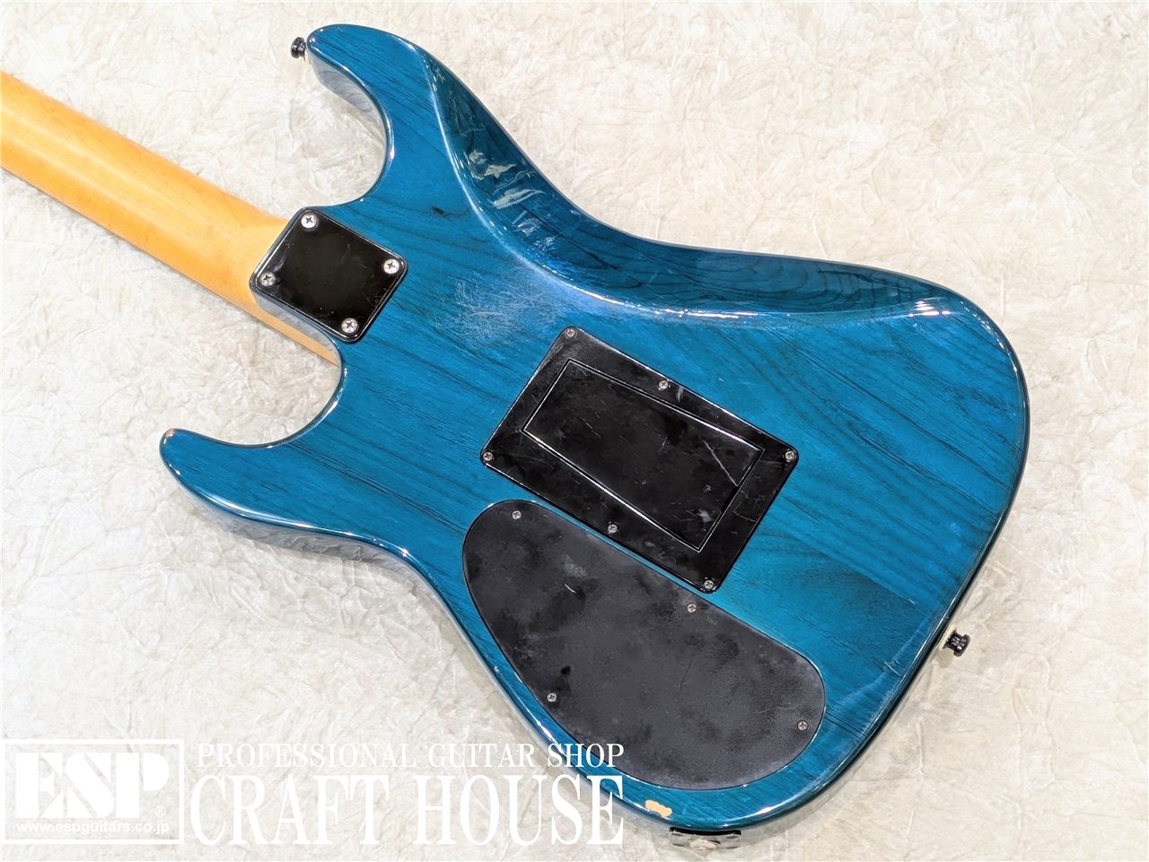 【USED / 即納可能】Sadowsky NYC S-Style Guitar　渋谷店 - 6
