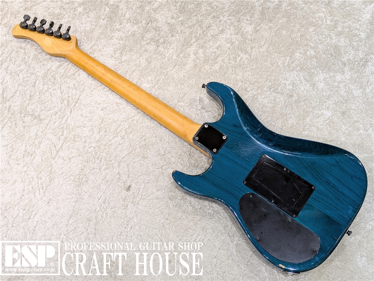 【USED / 即納可能】Sadowsky NYC S-Style Guitar　渋谷店 - 5