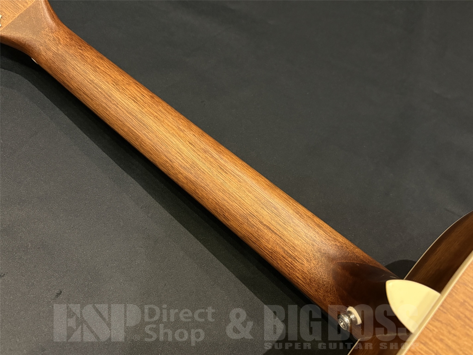 【即納可能/アウトレット】Art&Lutherie(アートアンドルシアー) Americana Light Burst GT EQ 京都店 - 10