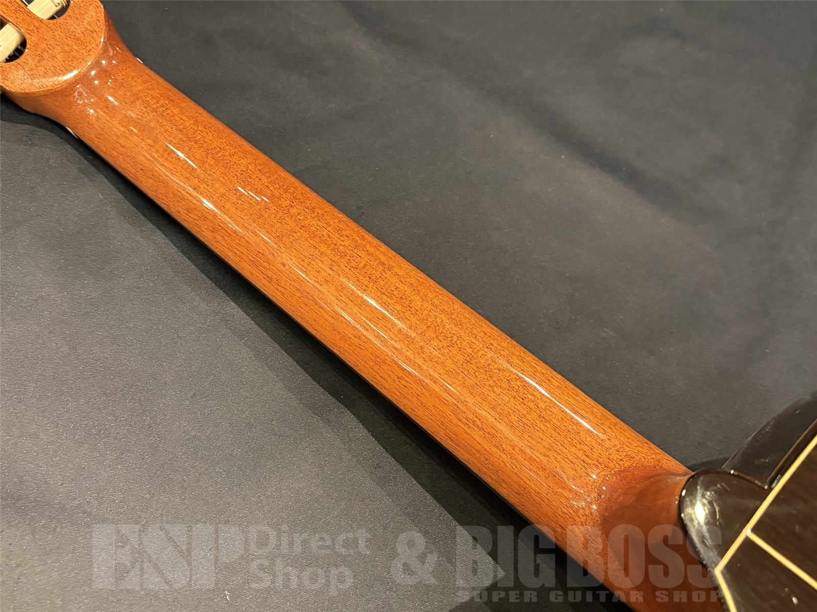 【即納可能/ アウトレット】Altamira(アルタミラ)	N300CE 48mm  京都店 - 10