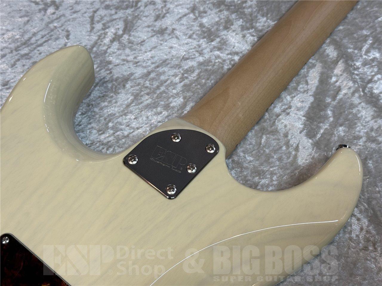 【即納可能】ESP SNAPPER-AS (Honey Blond) 広島店 - 7