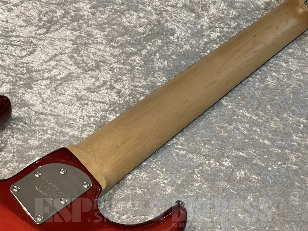 【即納可能】EDWARDS（エドワーズ） E-SNAPPER-8 ISAO Custom (RAIDEN RED)広島店 - 7