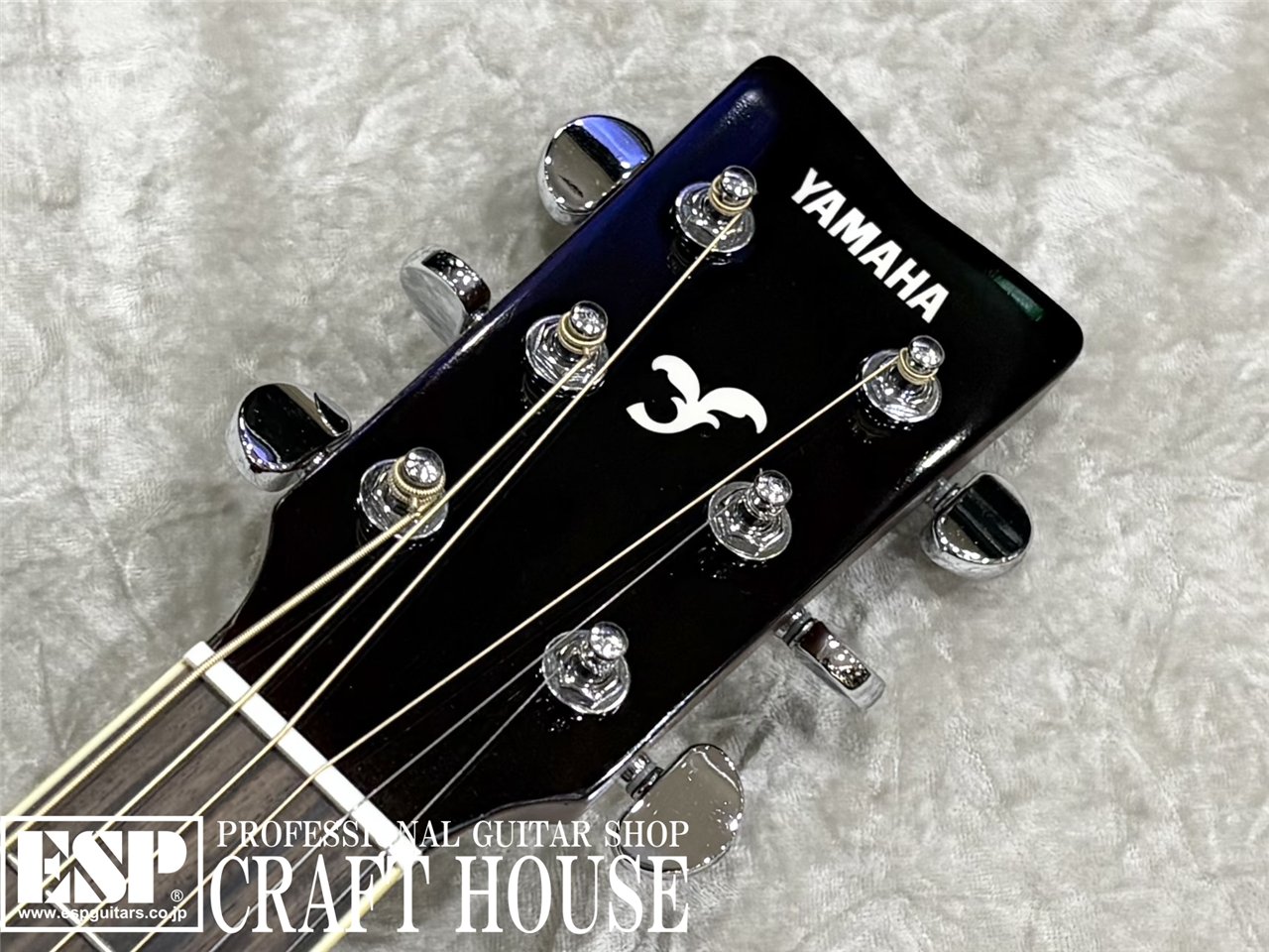 【即納可能】YAMAHA FGC-TA / Brown Sunburst 渋谷店 - 4