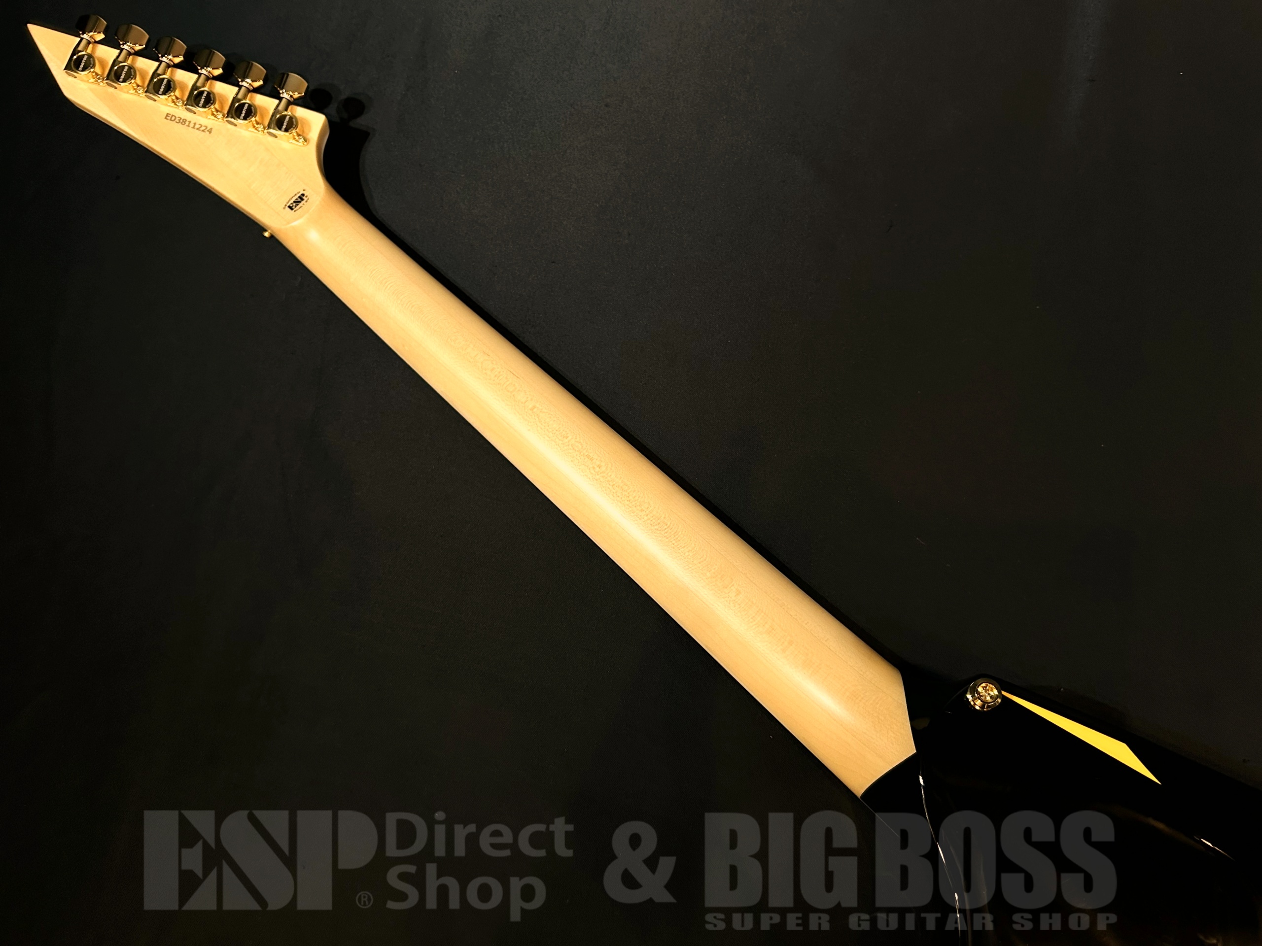 【即納可能】EDWARDS(エドワーズ) E-ALEXI ARROW HEAD (Alexi Laihoモデル) / 大阪店 - 7