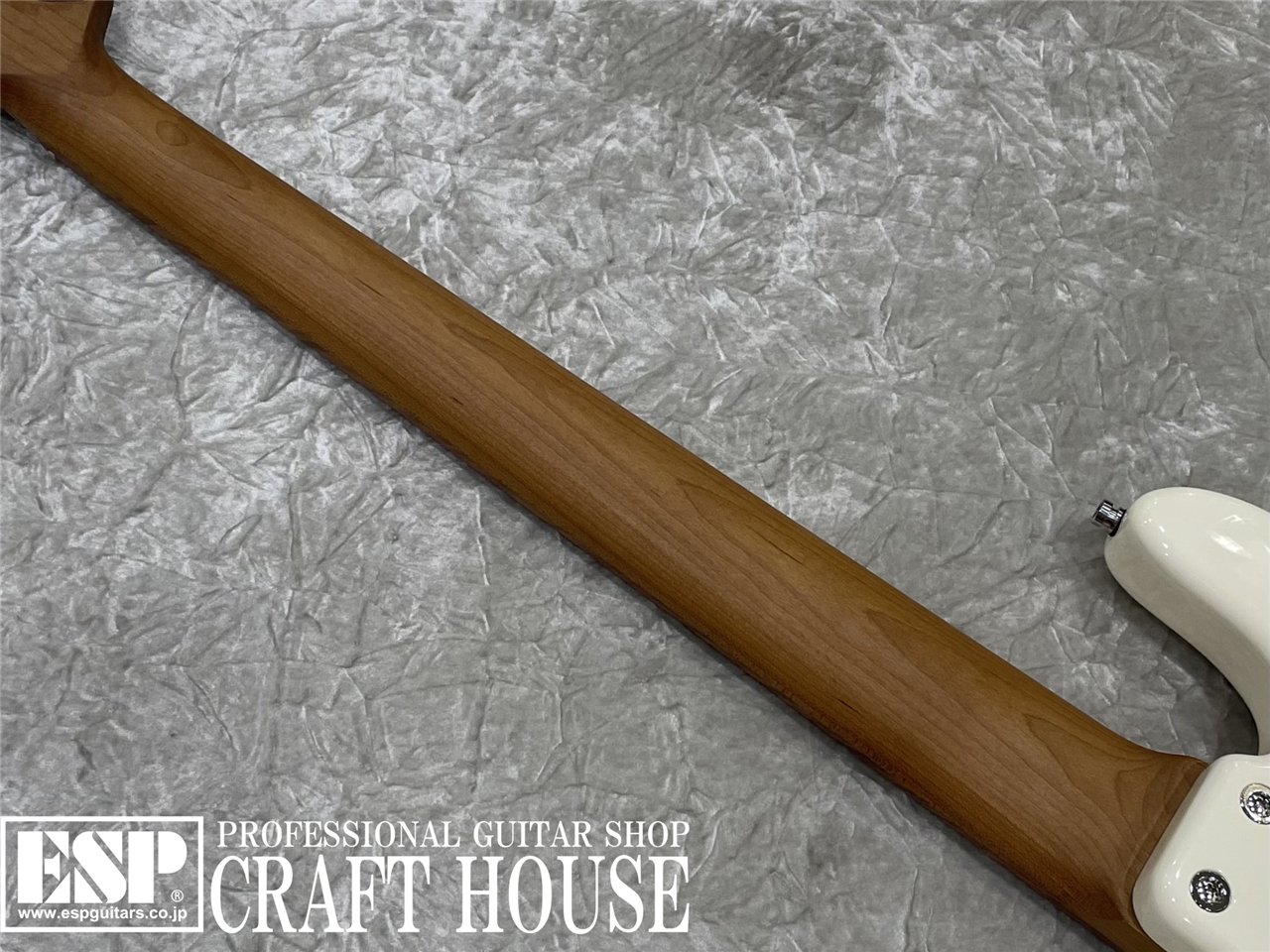 【即納可能】Sadowsky MX21 VJ5 Morado / Olympic White 渋谷店