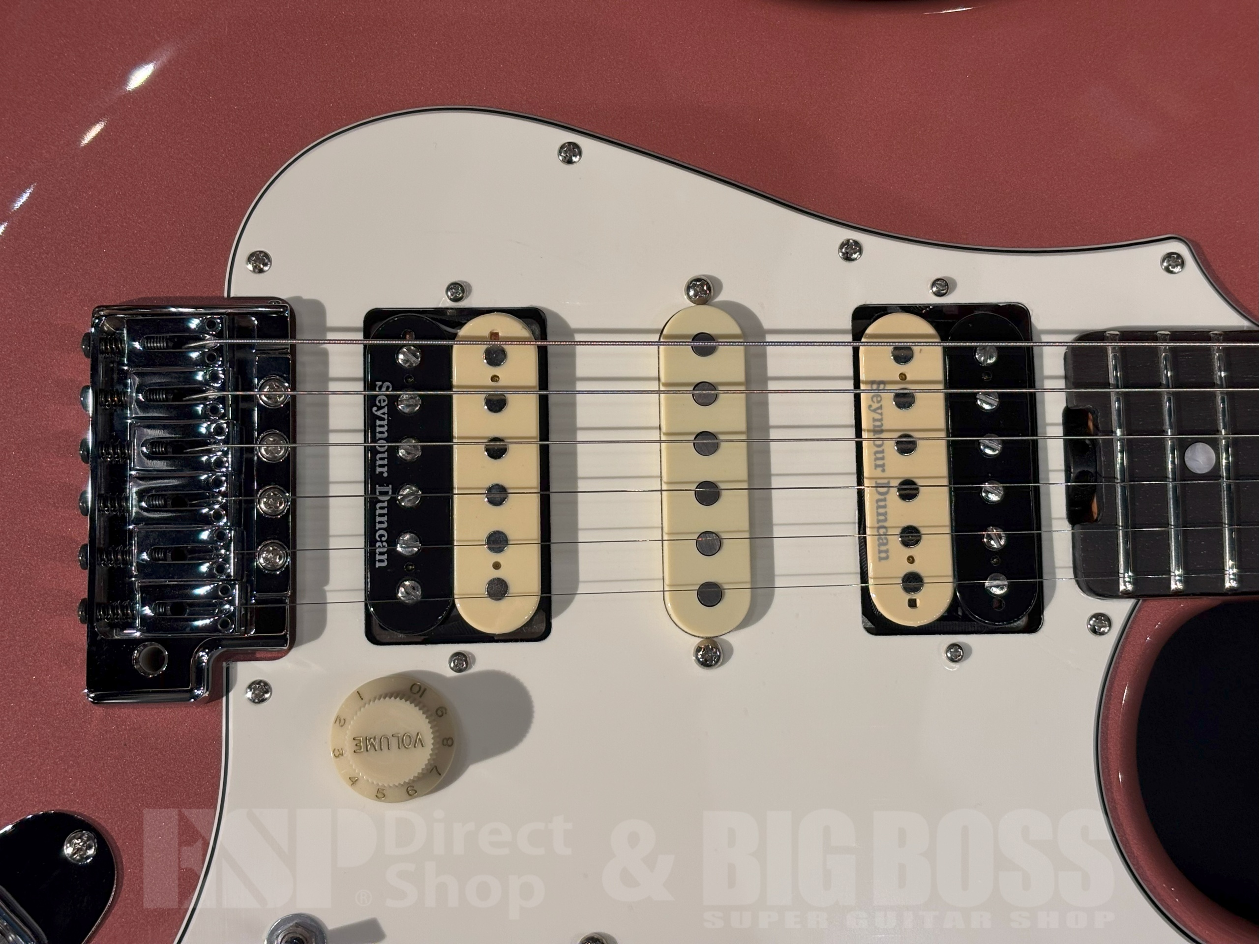 【即納可能】EDWARDS (エドワーズ) E-SNAPPER Fujioka Custom Vintage Burgundy Mist 大阪店