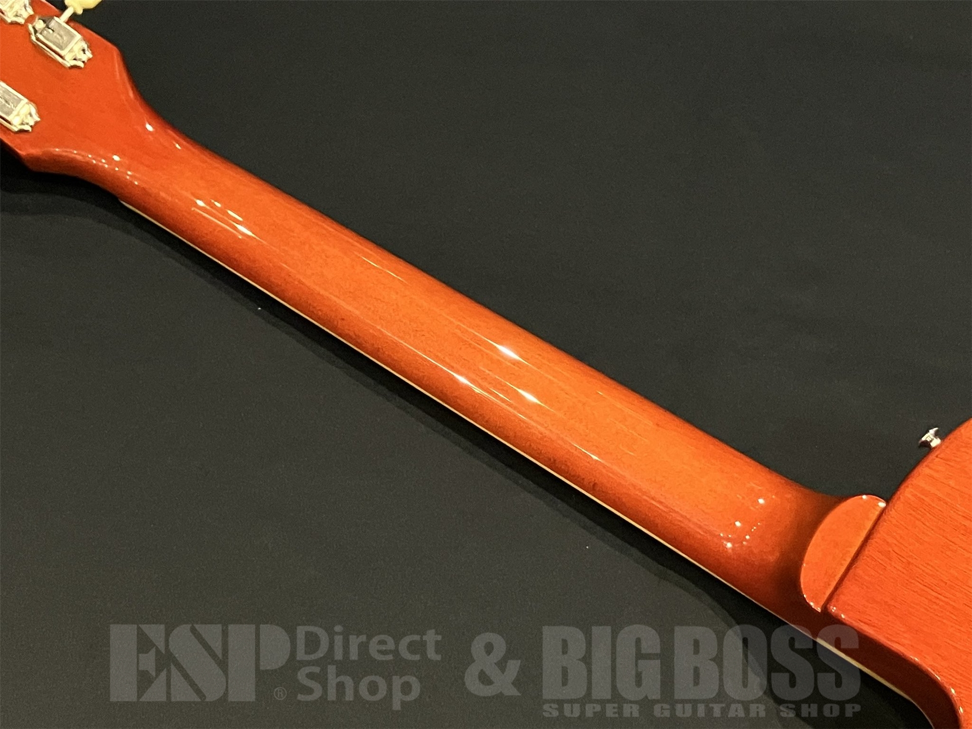 即納可能】EDWARDS (エドワーズ) E-LP-STD / Vintage Honey Sunburst