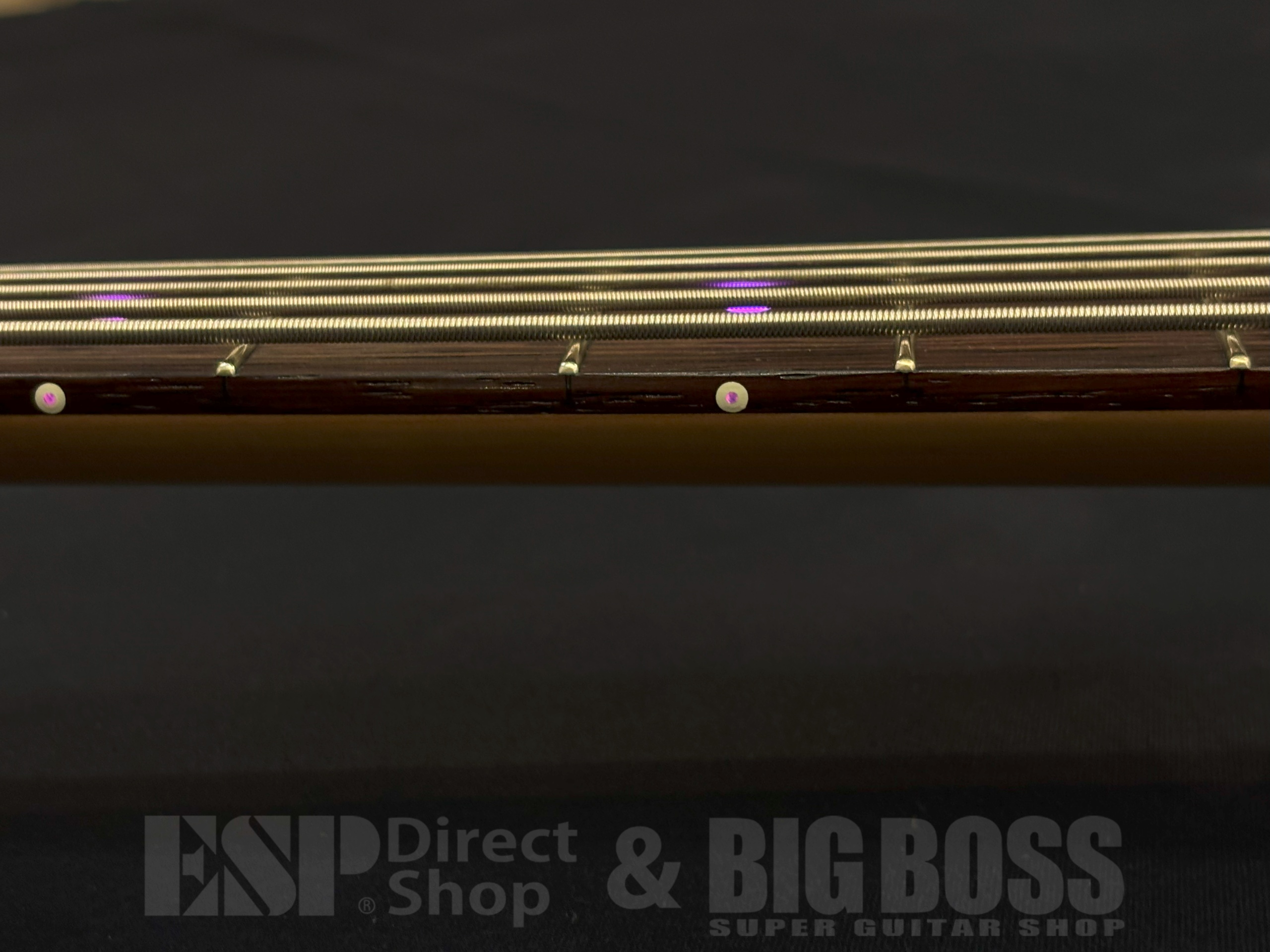 【即納可能/中古品】ESP (イーエスピー) HALIBUT Order 大阪店