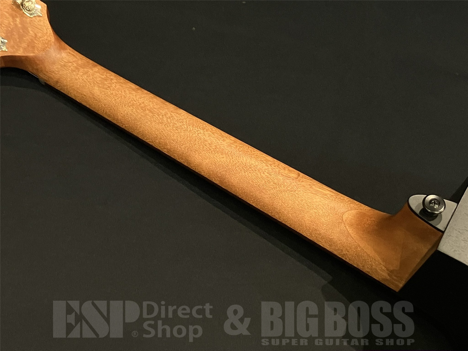 【即納可能】LAG Guitars(ラグギターズ) T70DCE / Black & Brown 京都店