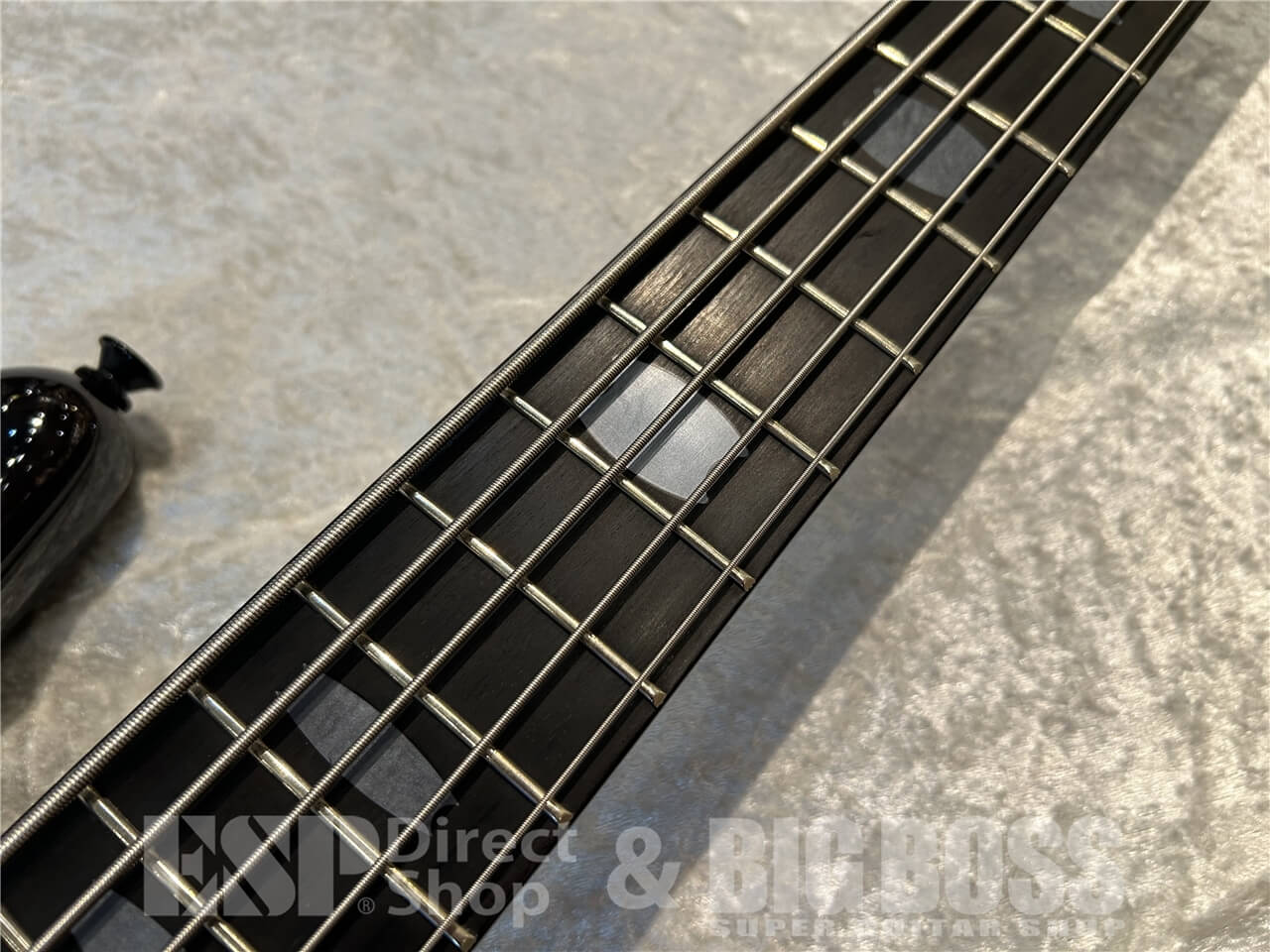【即納可能/お客様委託品】Spector（スペクター）Euro LX Neck-Thru 5 String Premium Wood / Black Stain Gloss 仙台店 - 4