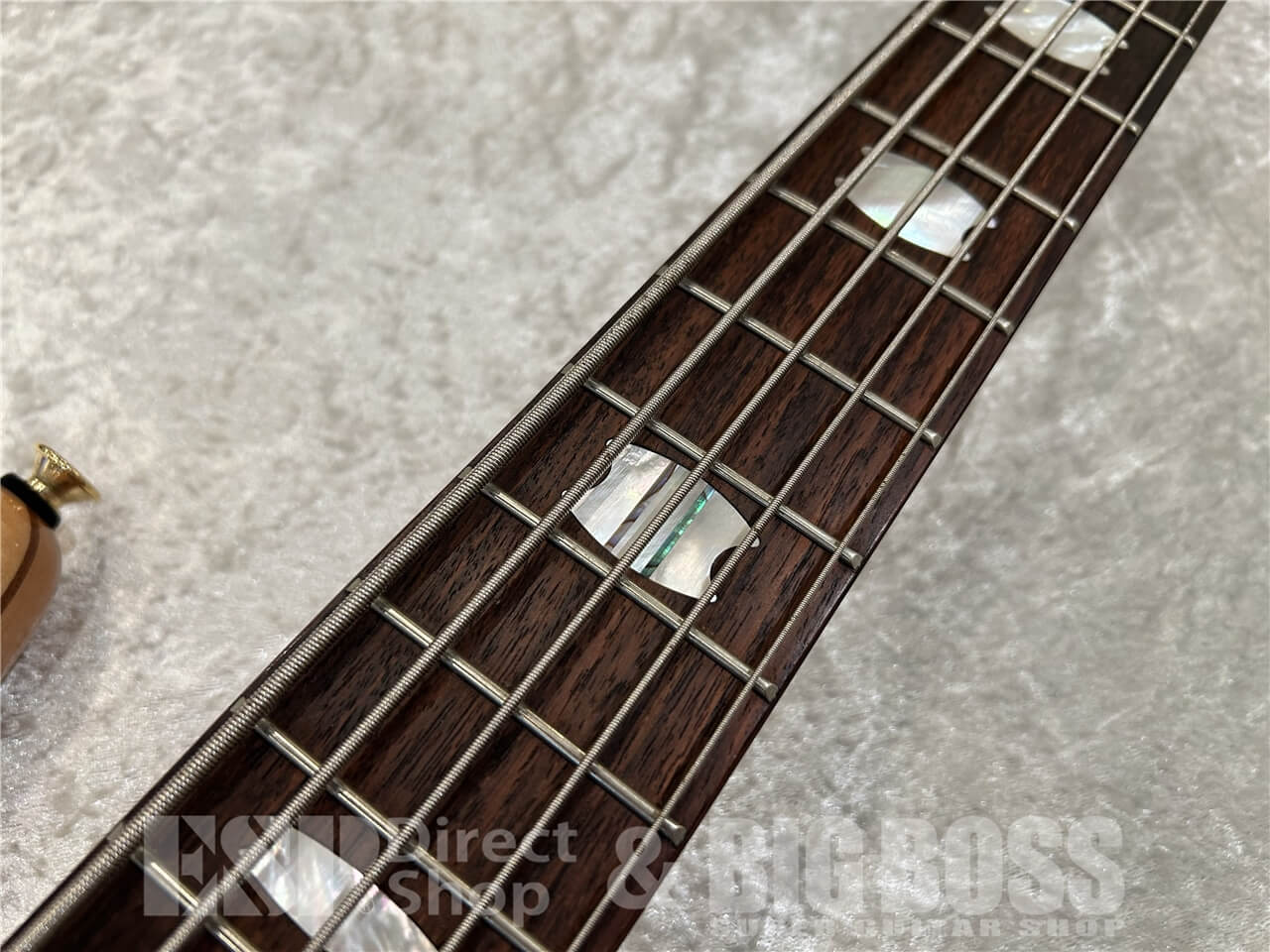 【即納可能/OUTLET】Spector(スペクター)Euro LX Neck-Thru 5 String Poplar Burl / Natural Gloss 仙台店 - 4