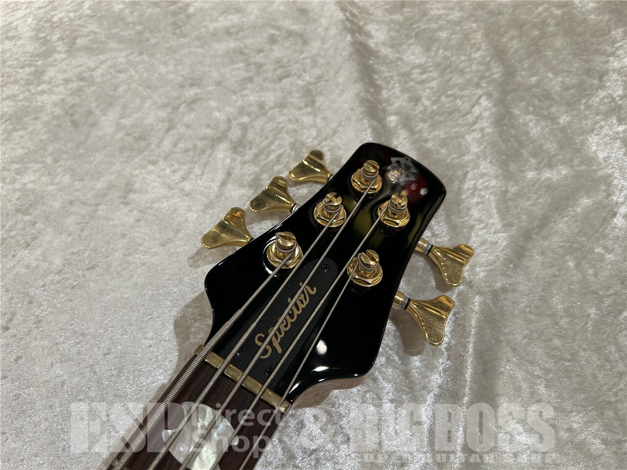 【即納可能/OUTLET】Spector(スペクター)Euro LX Neck-Thru 5 String Poplar Burl / Natural Gloss 仙台店 - 5