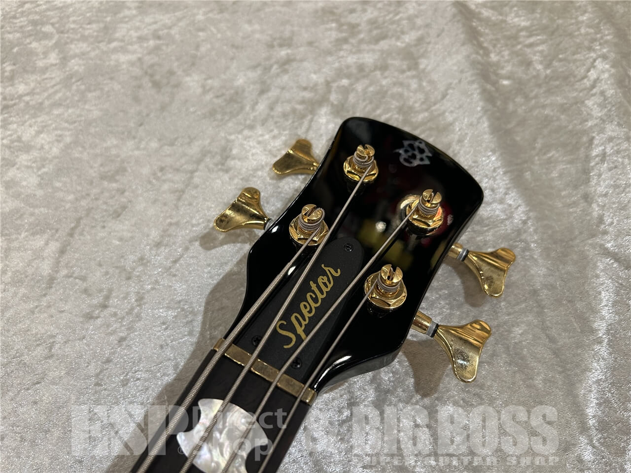 【即納可能/OUTLET】Spector(スペクター)Euro LX Neck-Thru 4 String Japan Exclusive / Peacock Blue Gloss 仙台店 - 5