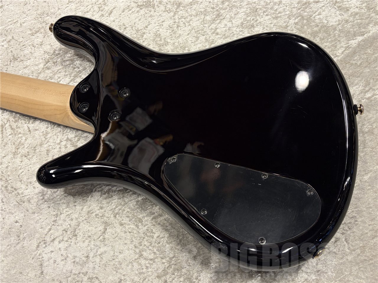 【即納可能】Spector(スペクター)Icon NS 5 Bolt-On 5(Black Cherry Gloss) 名古屋店 - 8