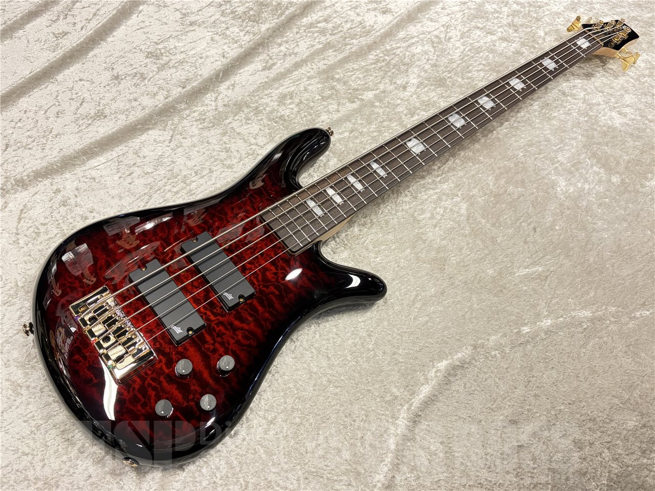 【即納可能】Spector(スペクター)Icon NS 5 Bolt-On 5(Black Cherry Gloss) 名古屋店