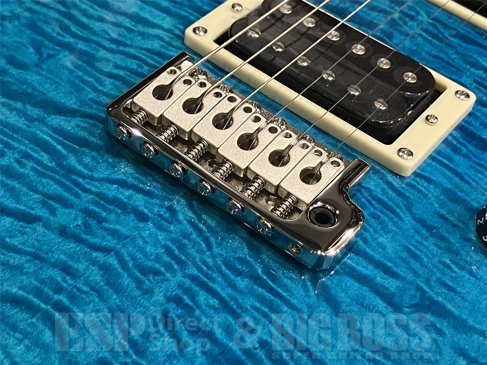 【即納可能】Paul Reed Smith(ポールリードスミス/PRS) SE Custom 24 / Blue Matteo​ (2024年製 S/N CTI G119431)