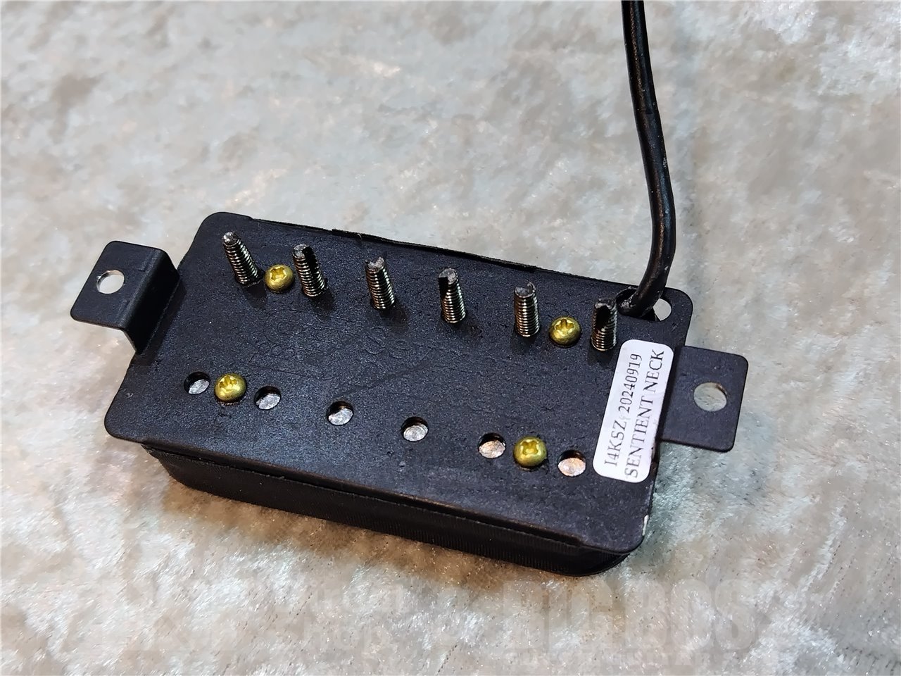 【中古品/即納可能】Seymour Duncan SENTIENT-6 広島店 - 2