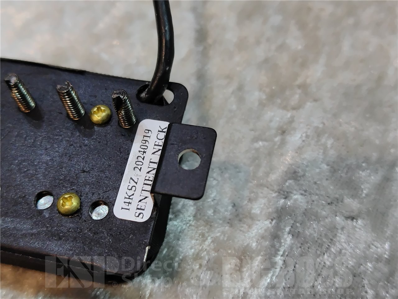 【中古品/即納可能】Seymour Duncan SENTIENT-6 広島店 - 3