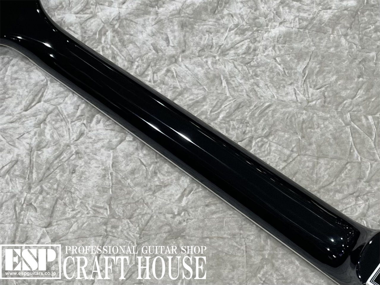 【即納可能】EDWARDS E-LP-CTM / Black 渋谷店