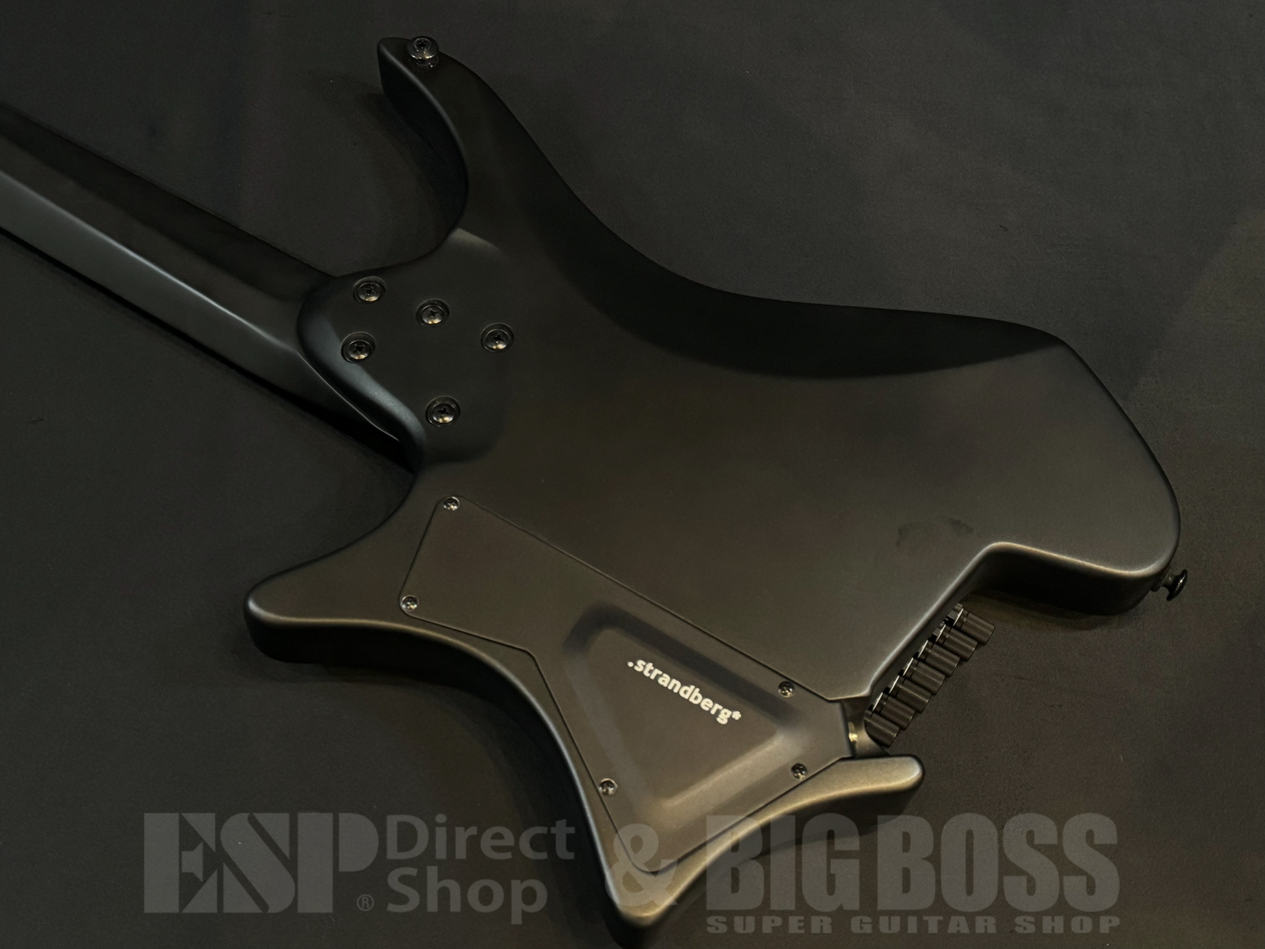 【即納可能】strandberg(ストランドバーグ) Boden Standard N2.7 Metal POWR:D / Black Metallic 大阪店 - 6