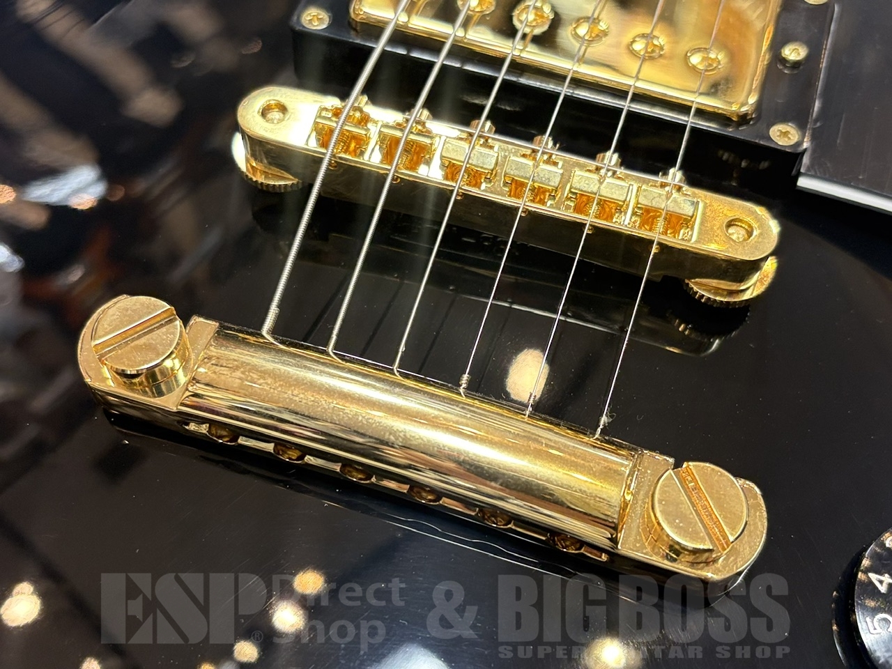 【即納可能】EDWARDS(エドワーズ)E-LP-CTM/BLACK GWS - 5