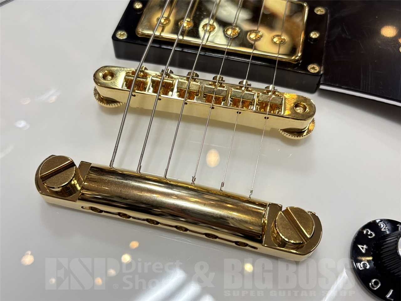 【即納可能】EDWARDS(エドワーズ)E-LP-CTM/White GWS - 3
