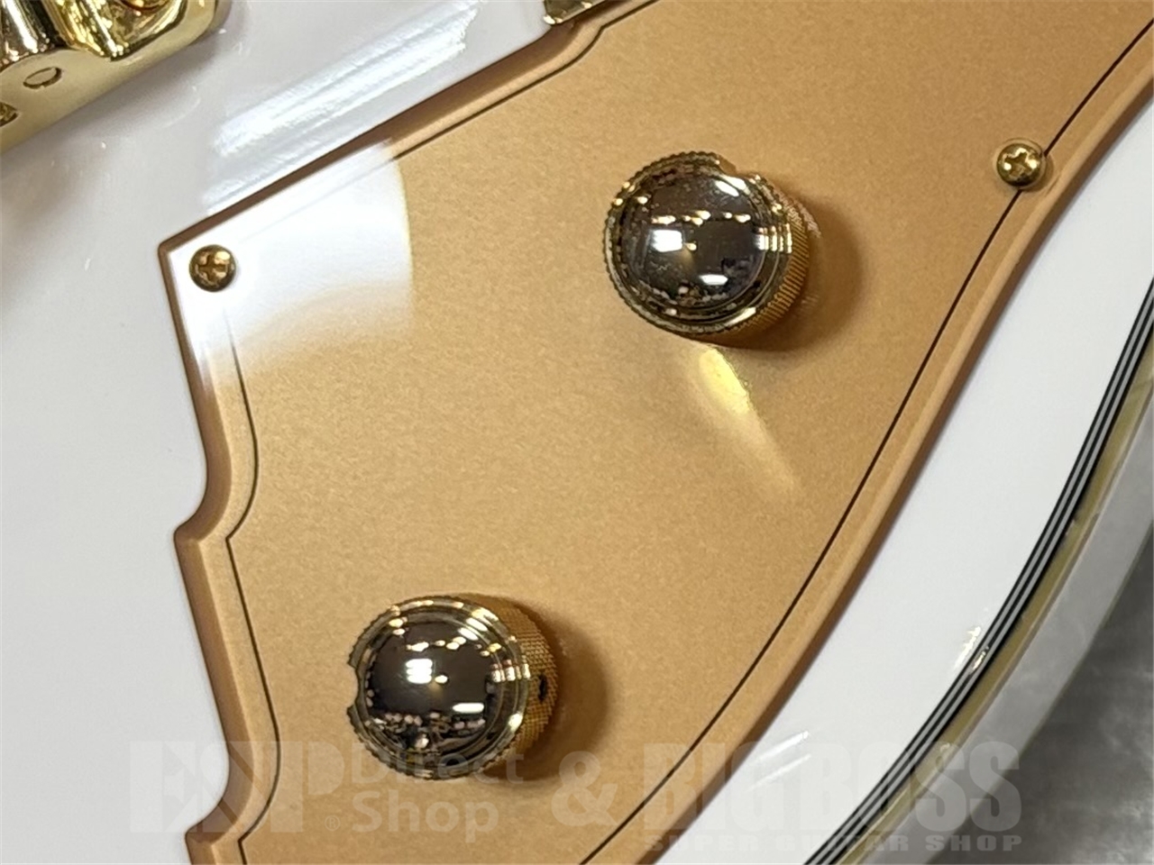 【即納可能】Duesenberg DTV-PC-VNW Starplayer TV Phonic/Venetian White GWS