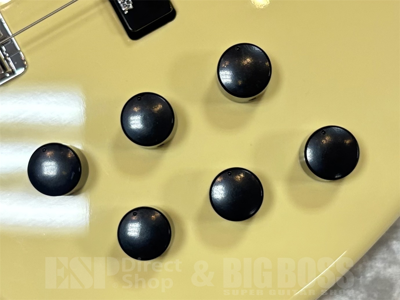 【即納可能】Markbass MAK-B/GV4/C-M CREAM GWS