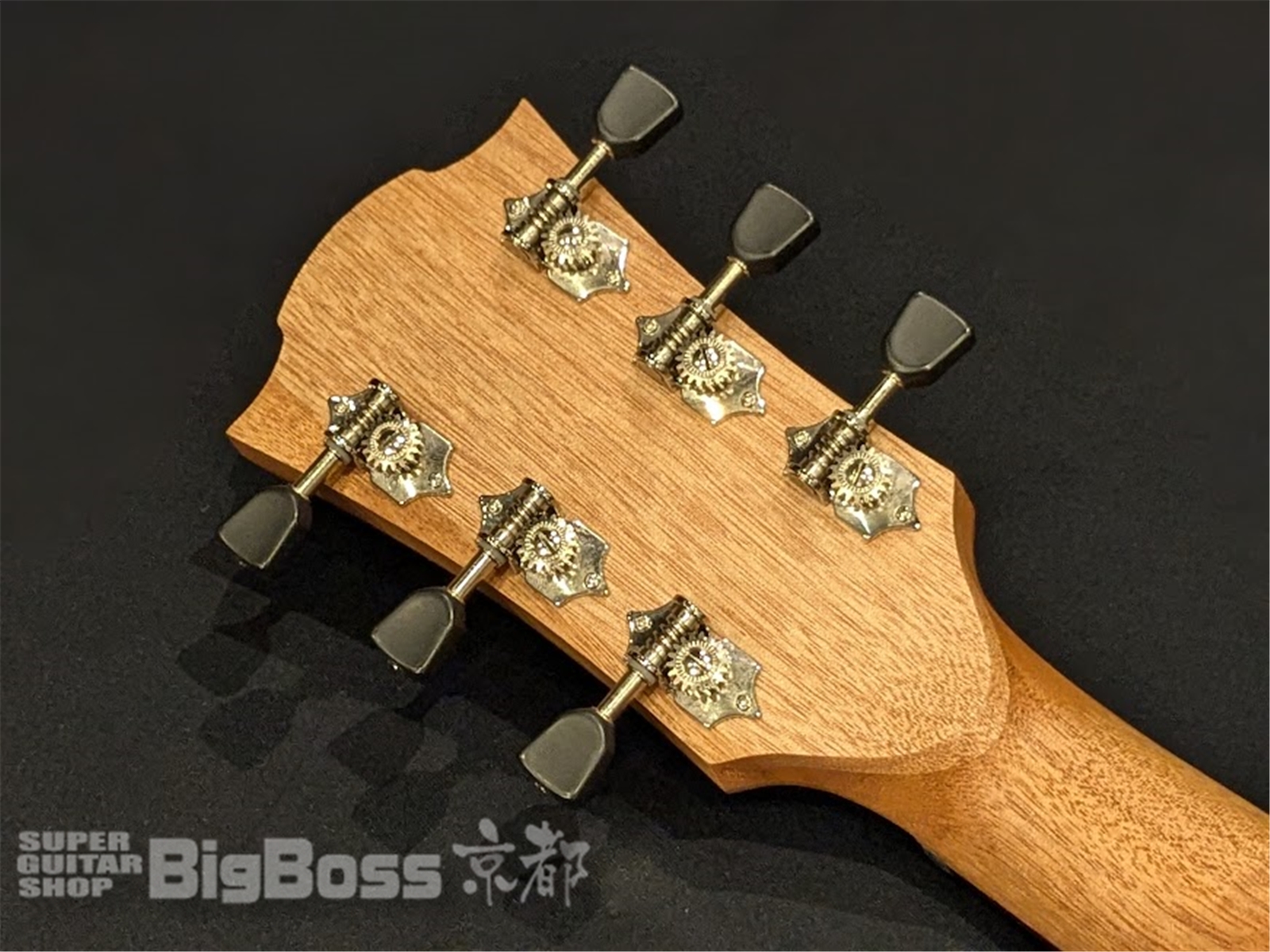 【即納可能】LAG Guitars(ラグギターズ) T70A NAT 京都店