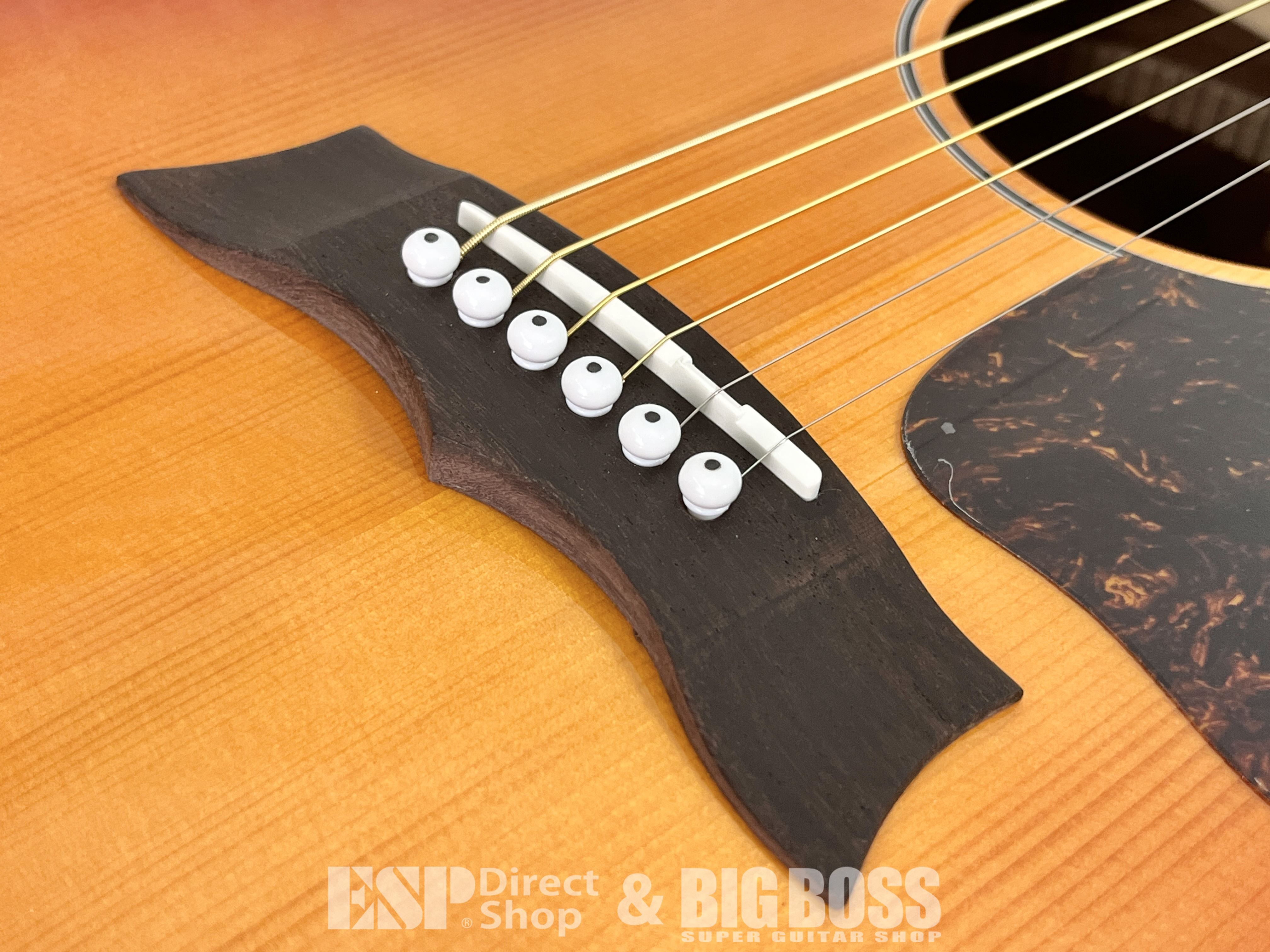【即納可能】Morris(モーリス) G-3 RBS レッドブラウンサンバースト (アコースティックギター) お茶の水駅前店・別館 - 3