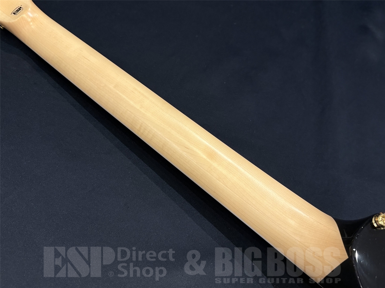 【即納可能】EDWARDS(エドワーズ) E-ALEXI ARROW HEAD / Black with Yellow Stripe (Alexi Laiho Model) 京都店 - 10