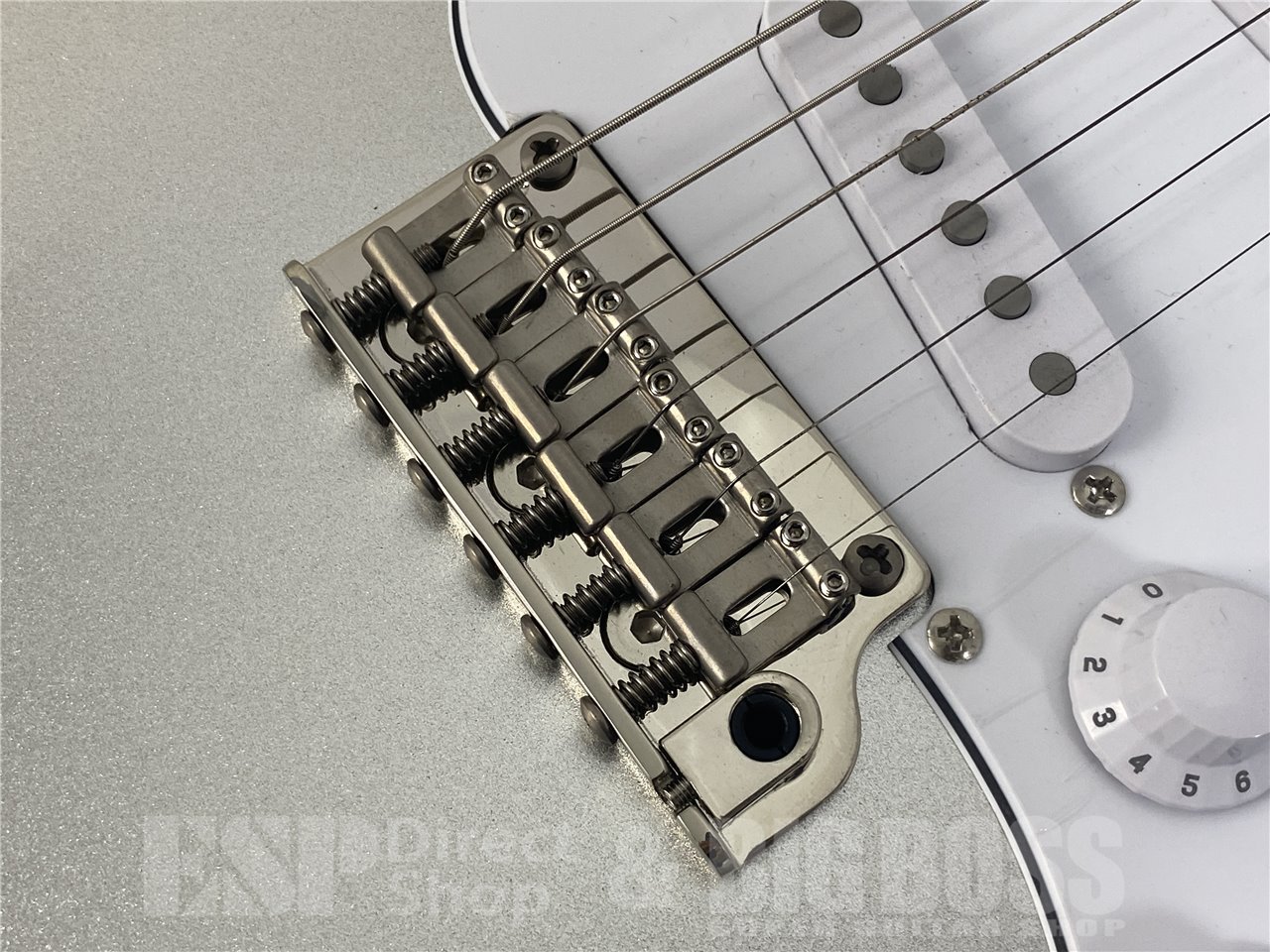 【即納可能】Paul Reed Smith(PRS/ポールリードスミス) SE Silver Sky Limited Colors / Platinum Spark お茶の水駅前店(東京) - 5