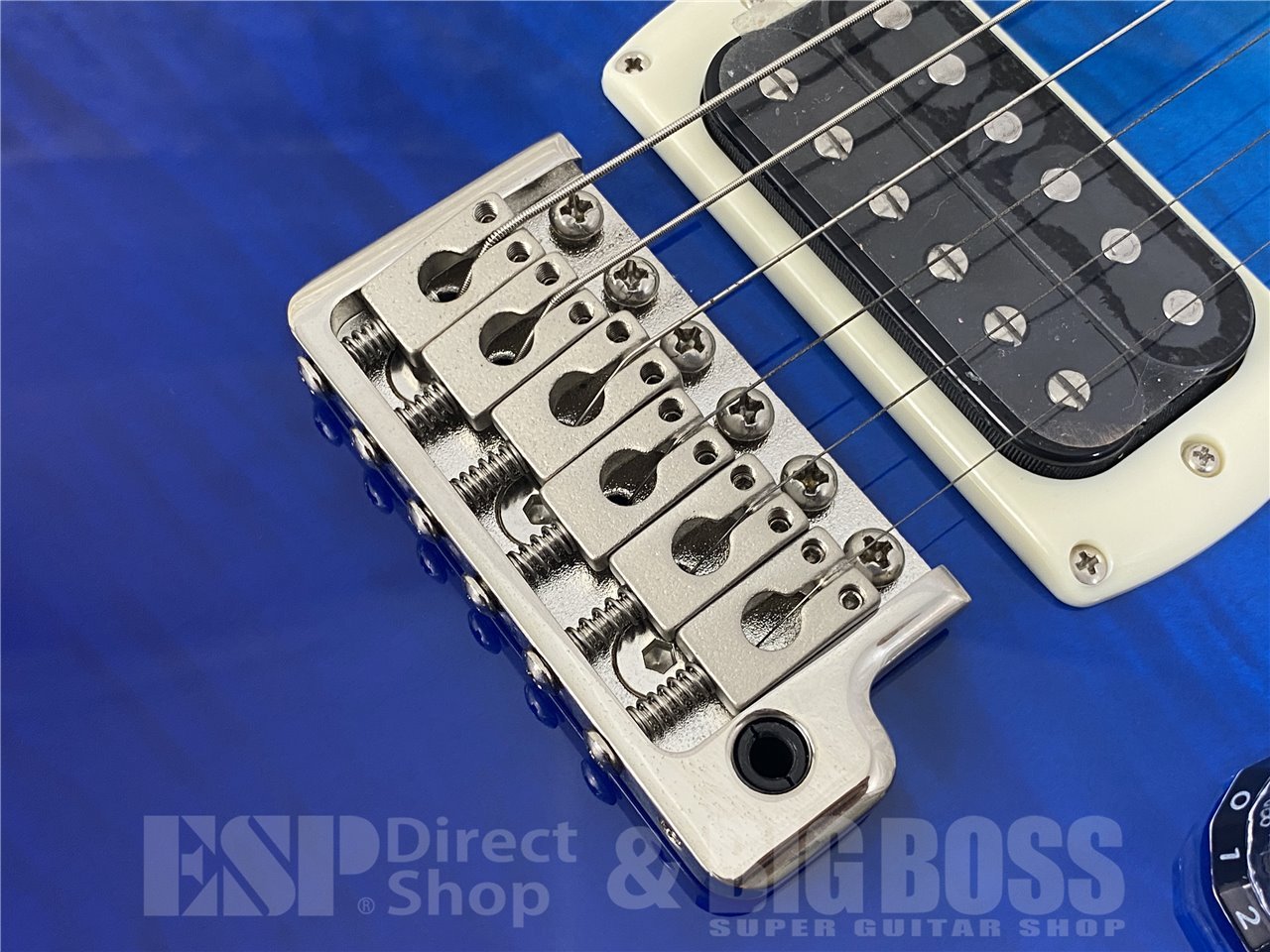 【即納可能】Paul Reed Smith(PRS/ポールリードスミス) SE Custom 24 / Sapphire Fade (2025年製) お茶の水駅前店(東京) - 5