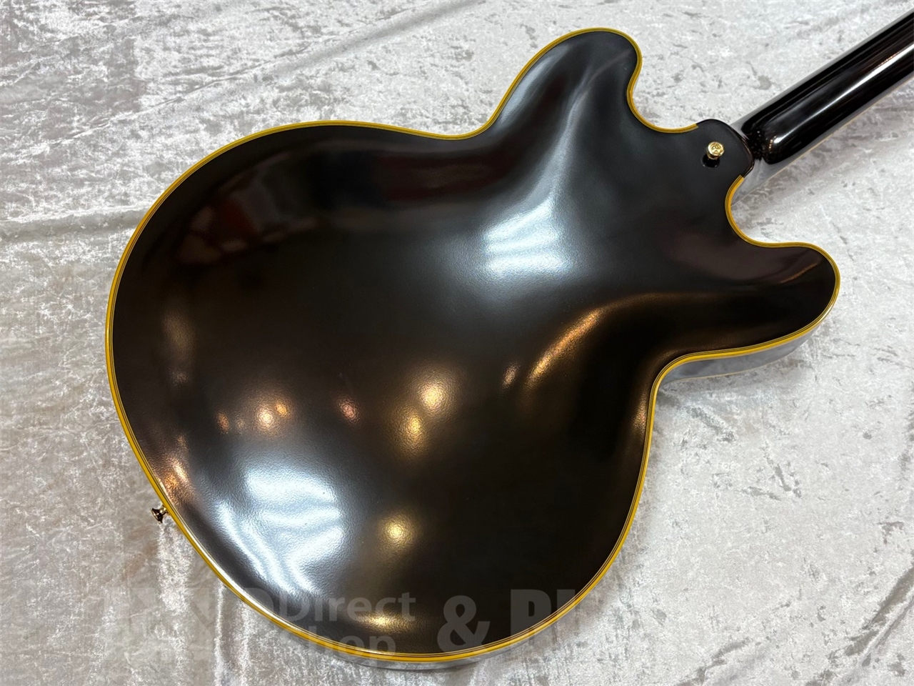 【即納可能】EDWARDS(エドワーズ) E-SA-CTM /Black GWS