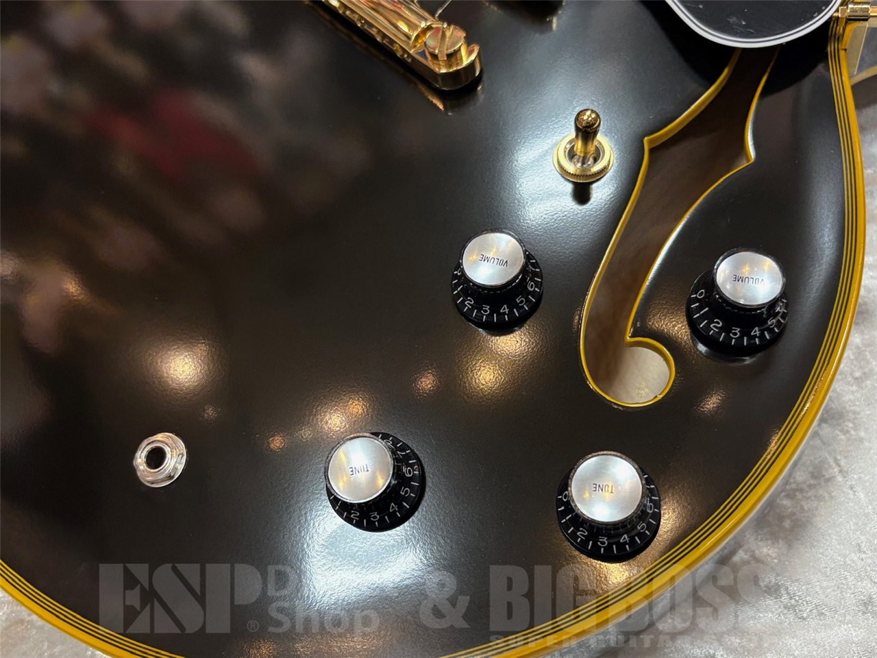 【即納可能】EDWARDS(エドワーズ) E-SA-CTM /Black GWS