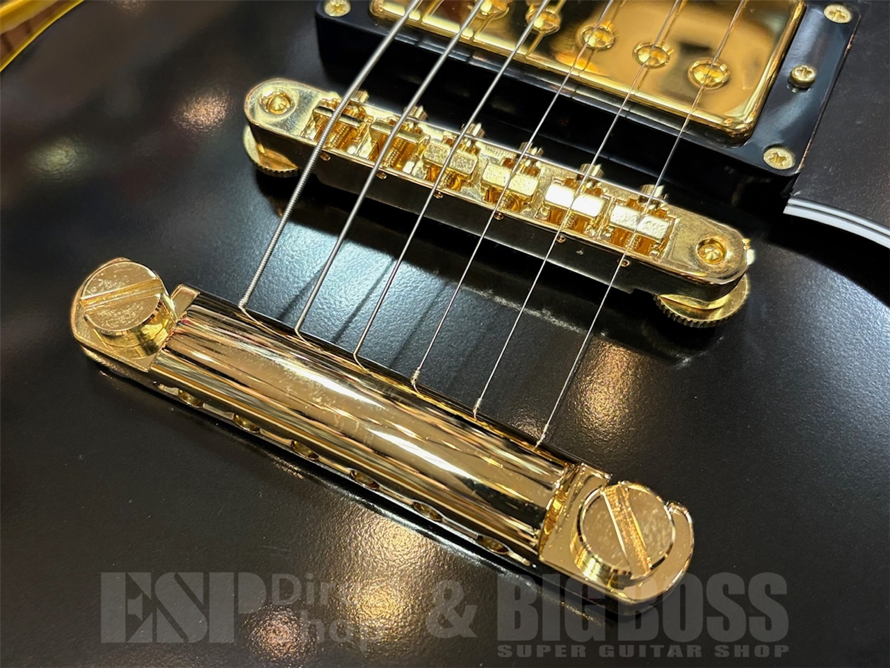 【即納可能】EDWARDS(エドワーズ) E-SA-CTM /Black GWS