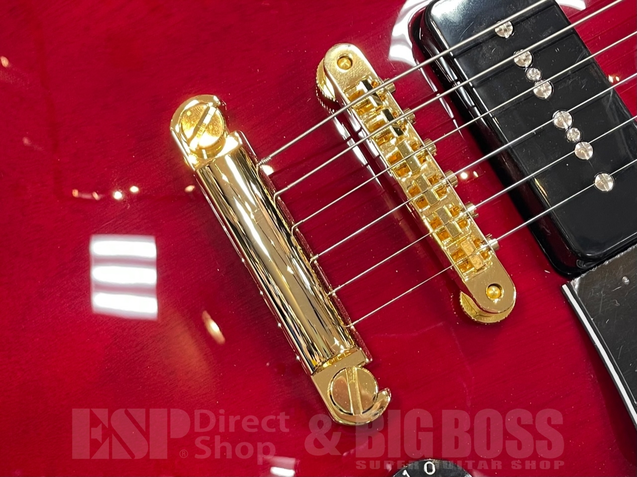 【即納可能】EDWARDS(エドワーズ)E-LP-CTM/P /Cherry GWS