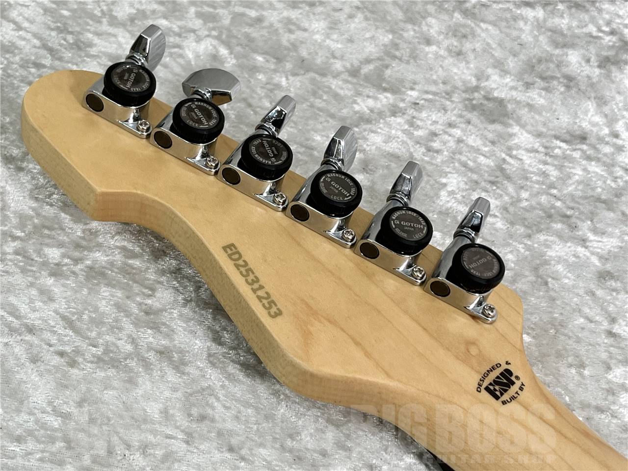 【即納可能】EDWARDS(エドワーズ) E-SNAPPER Fujioka Custom (Vintage Burgundy Mist) お茶の水駅前店・別館