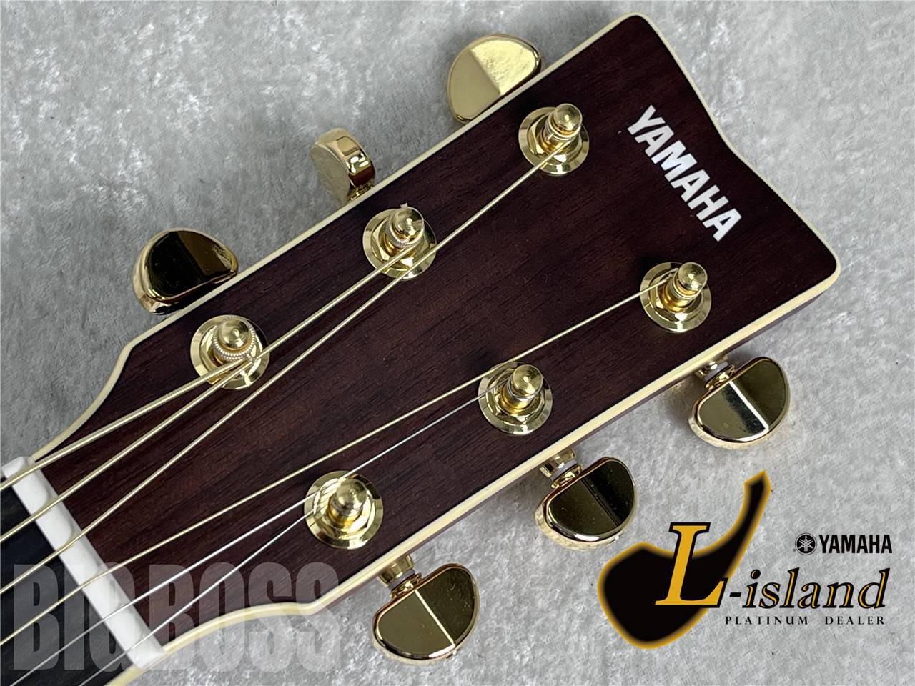 【お取寄せ商品】YAMAHA(ヤマハ) LJ16 ARE / ナチュラル(NT)