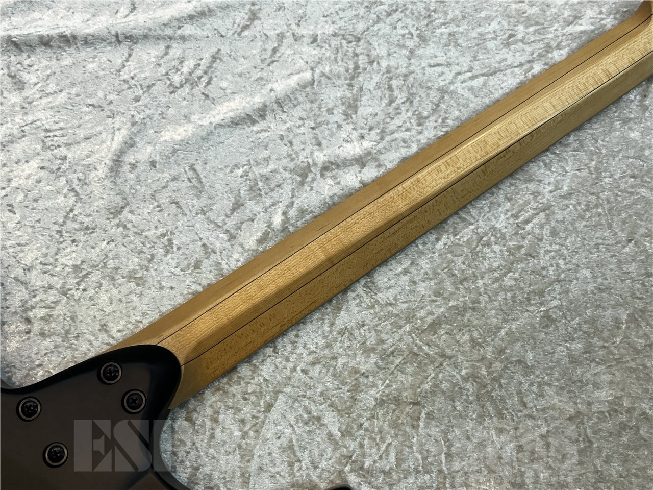 【即納可能】strandberg(ストランドバーグ) Boden Standard NX 6 Tremolo / Blue 広島店