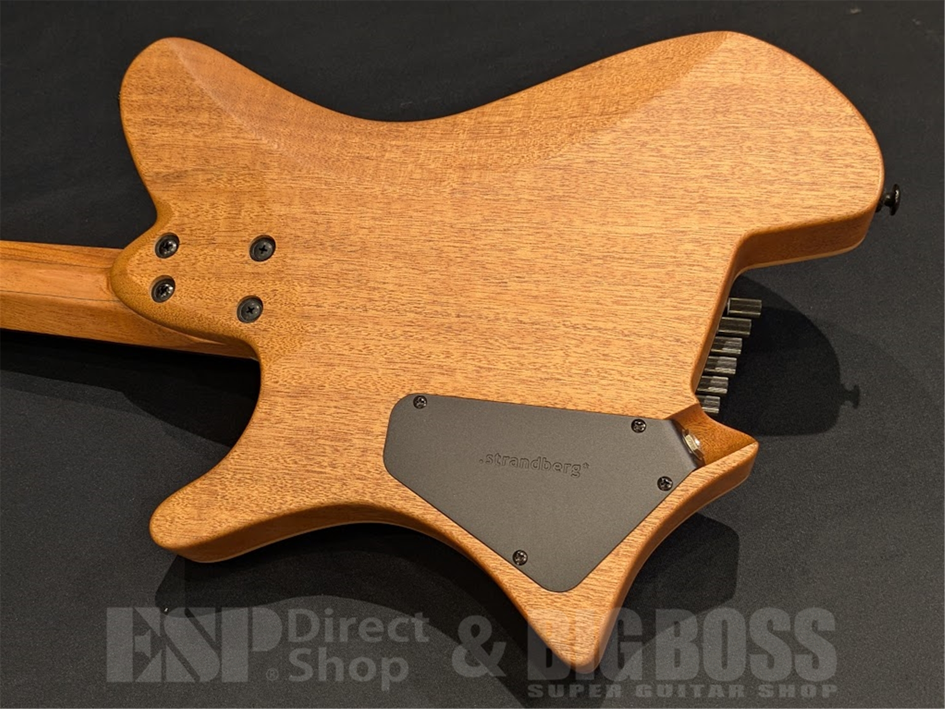 即納可能】Strandberg(ストランドバーグ) Salen Jazz NX 6 / Natural