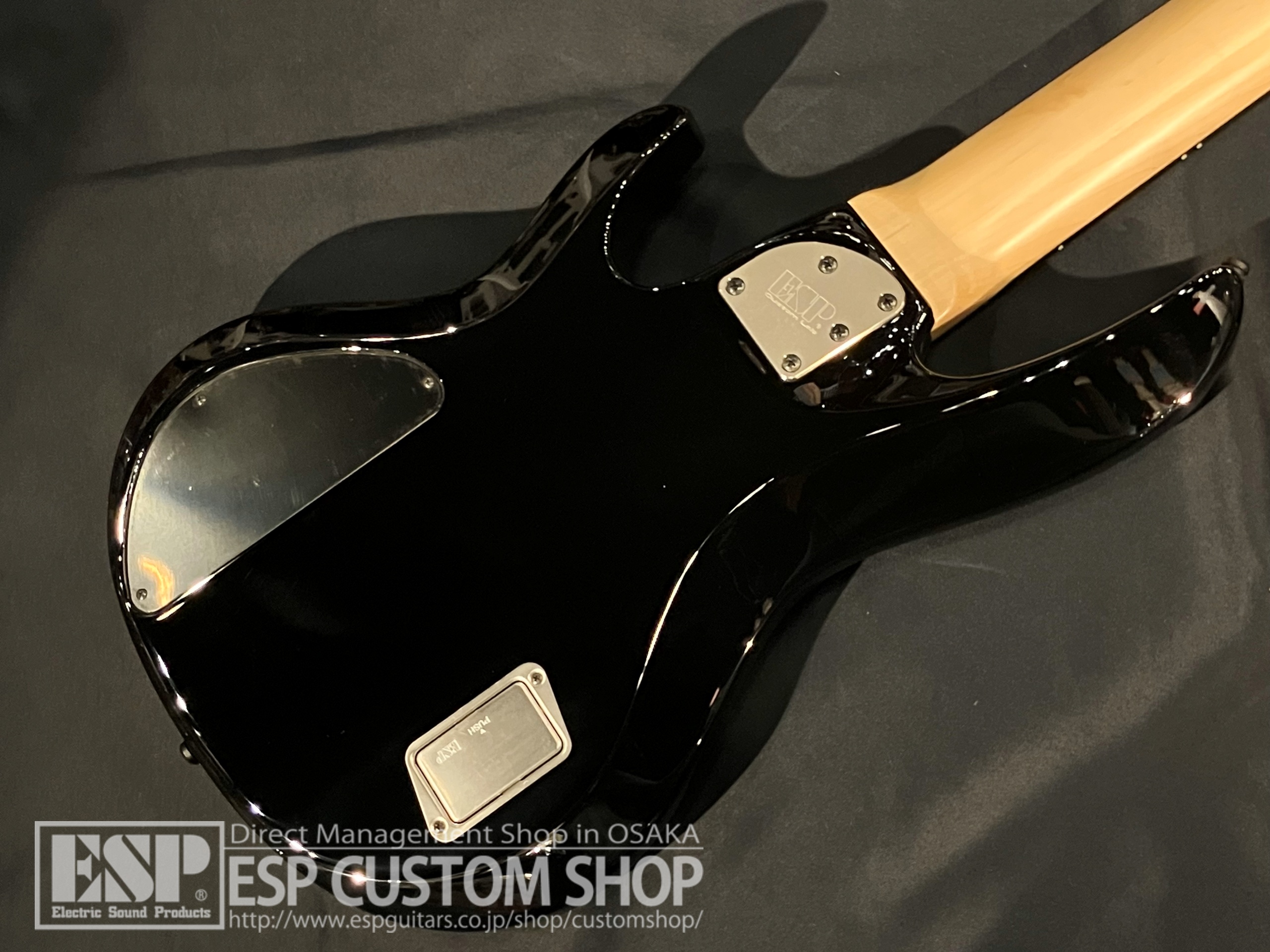 【即納可能】E-II(イーツー) BTL-5 / Black Natural Burst 大阪店