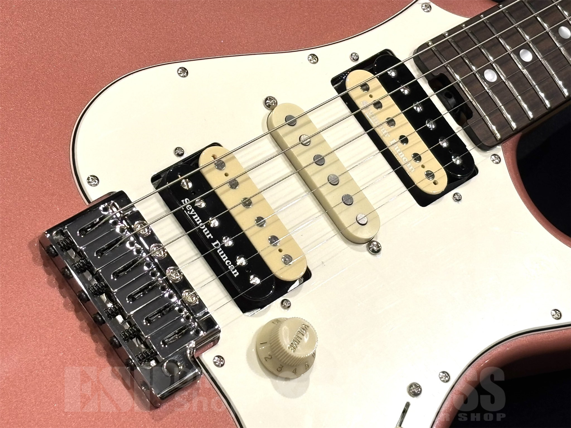 【即納可能】EDWARDS(エドワーズ) E-SNAPPER Fujioka Custom / Vintage Burgundy Mist 京都店