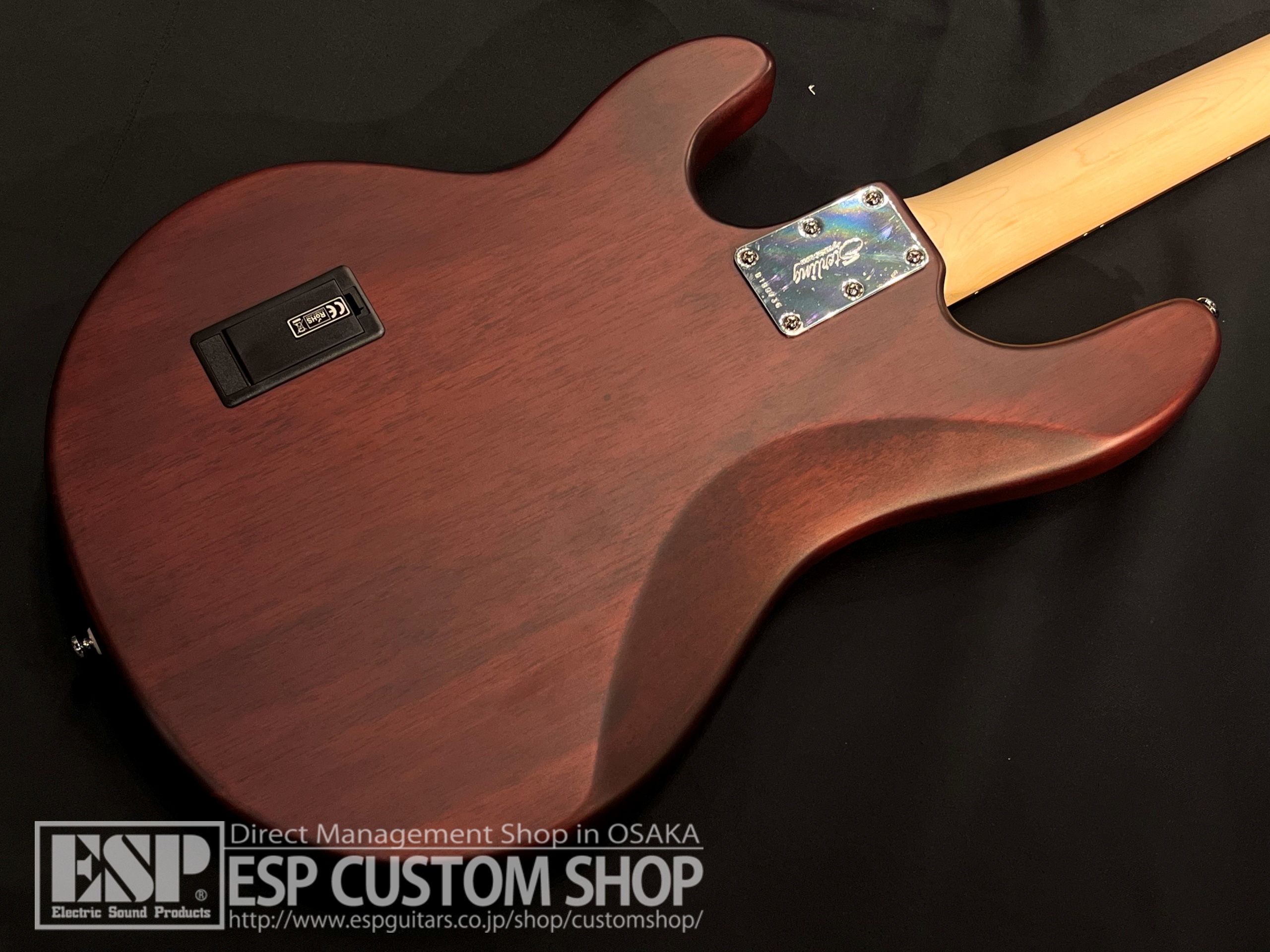 【即納可能】Sterling by MUSICMAN RAY4 / Walnut Satin 大阪店