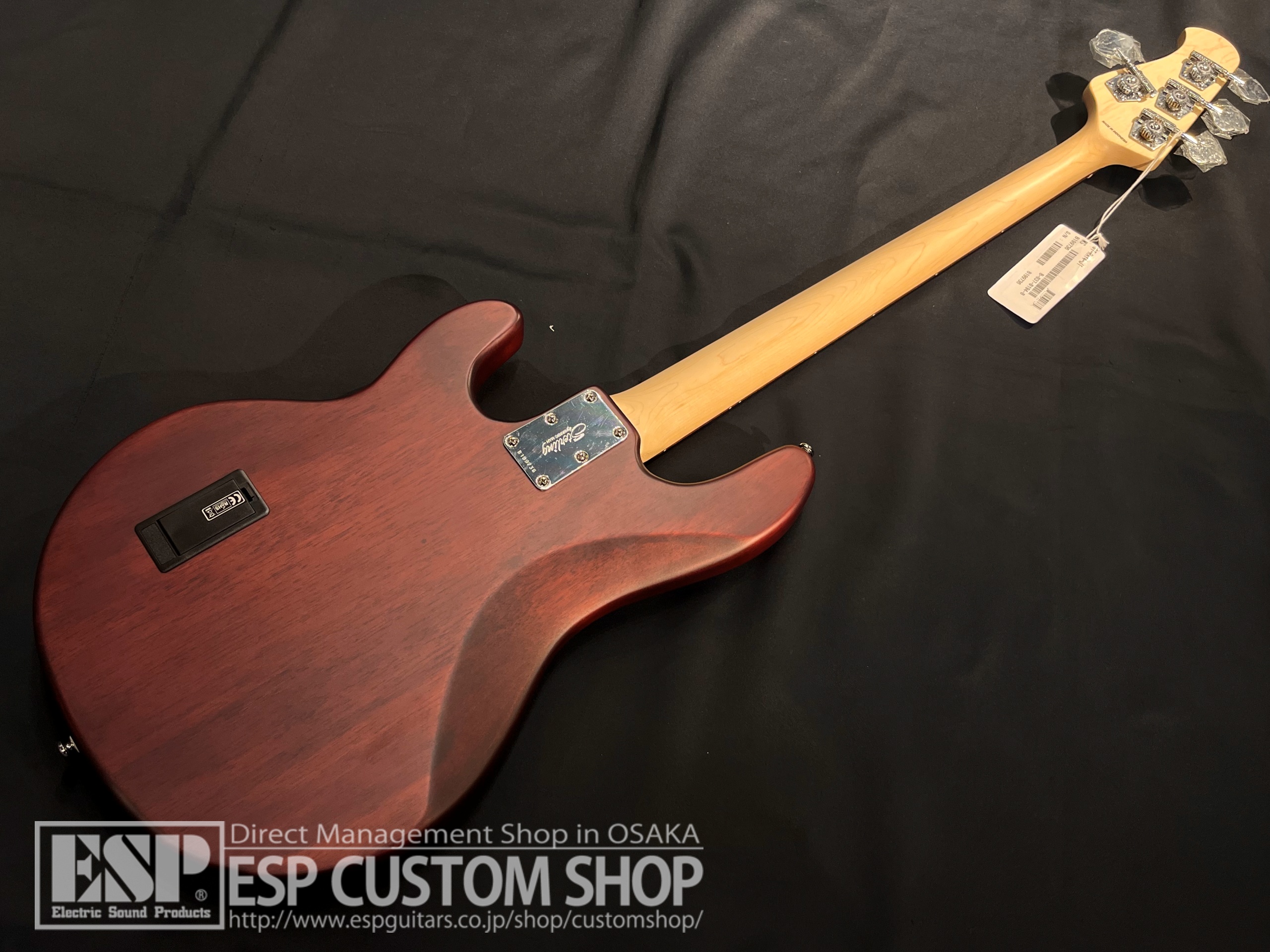 【即納可能】Sterling by MUSICMAN RAY4 / Walnut Satin 大阪店