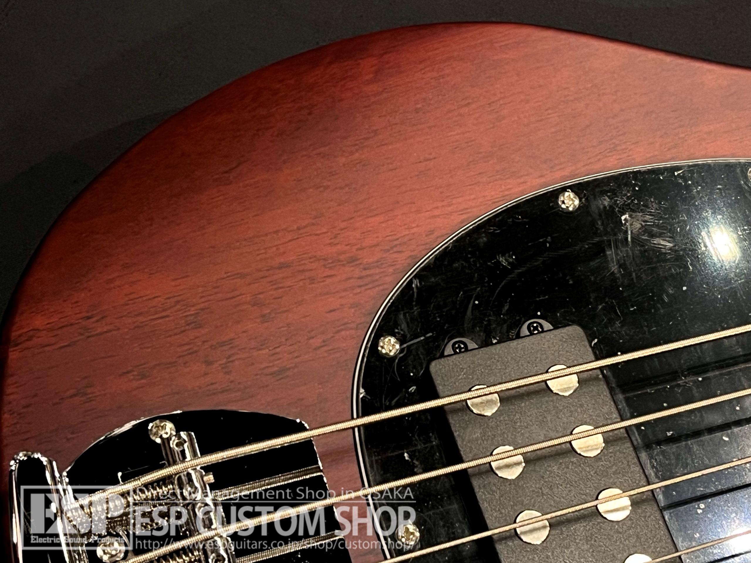 【即納可能】Sterling by MUSICMAN RAY4 / Walnut Satin 大阪店