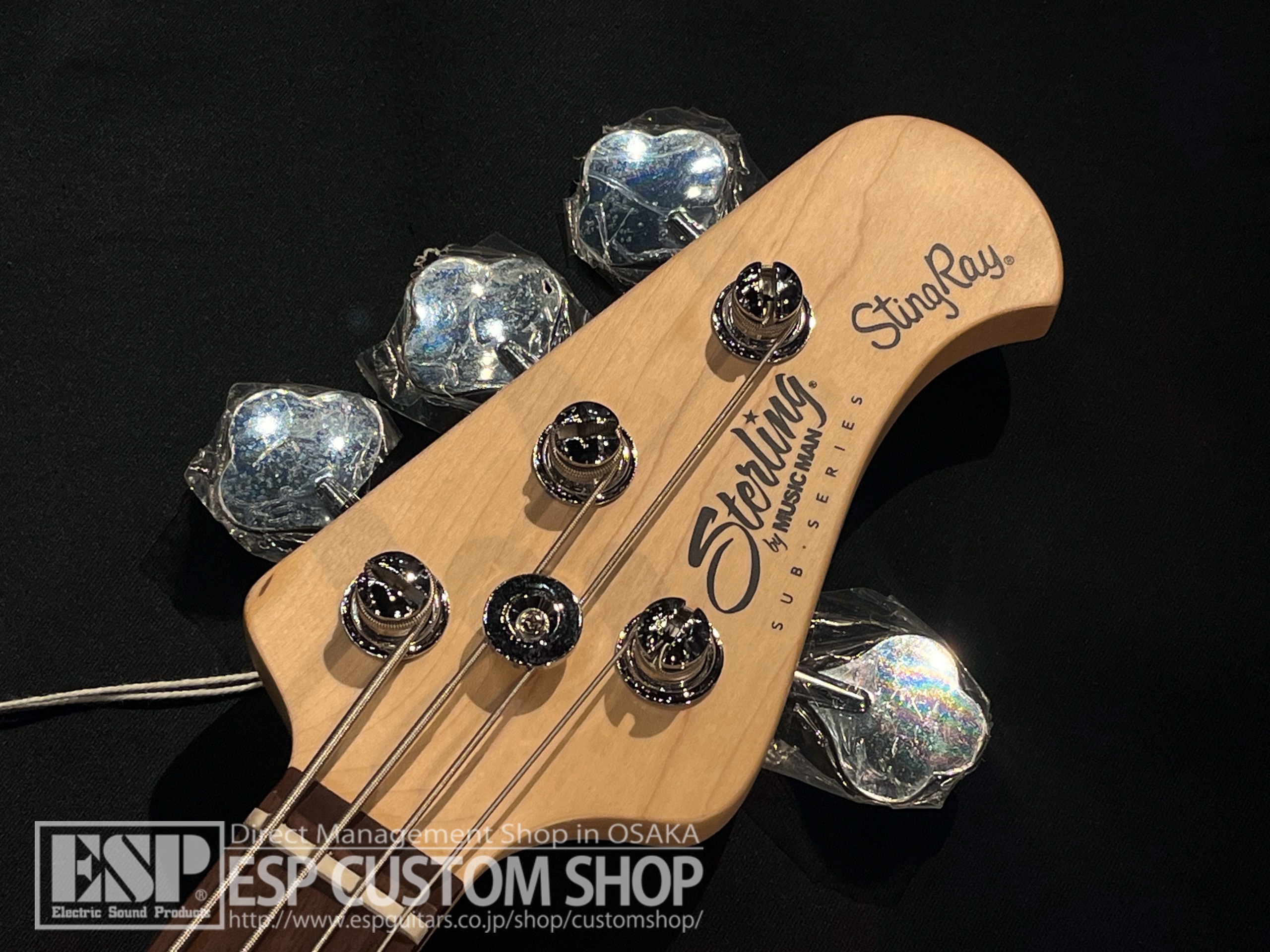 【即納可能】Sterling by MUSICMAN RAY4 / Walnut Satin 大阪店